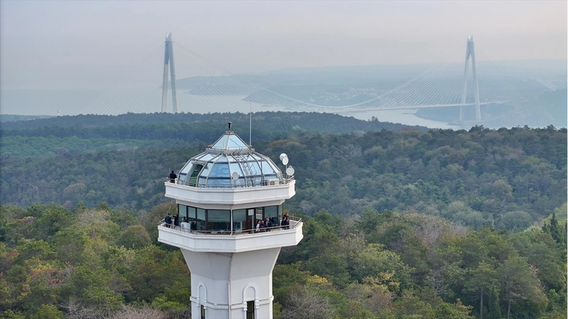 İstanbul Orman İnovasyon Haftası