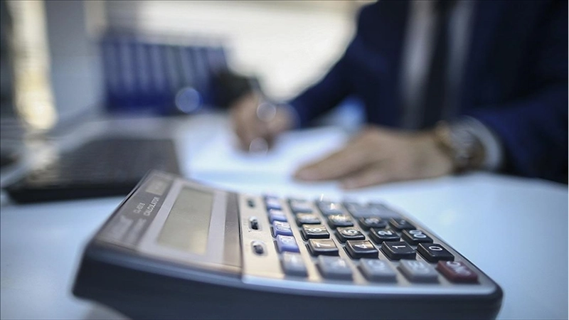 İş dünyası ve mali müşavirler 