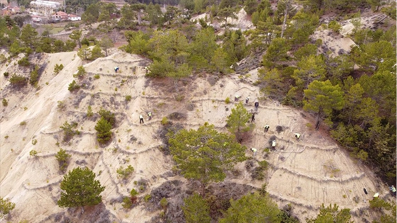 Orman işçileri erozyona karşı da sahada