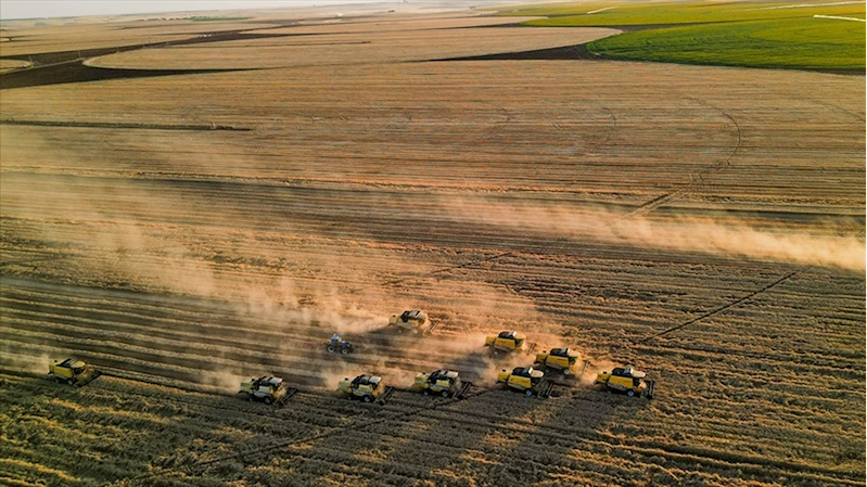 Tarım ÜFE nisanda aylık bazda yüzde 0,45 azaldı