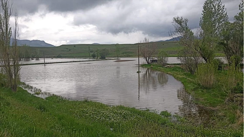 Erzincan’da sağanak sonrası bazı tarım arazileri su altında kaldı