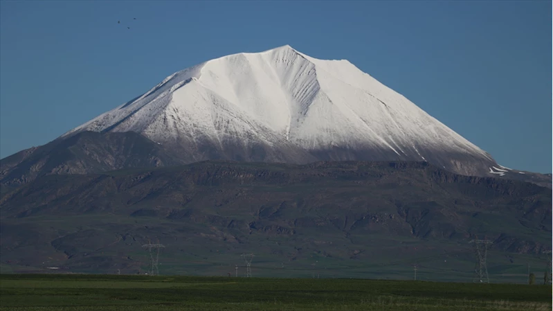 Ağrı