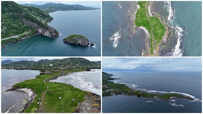Ordu