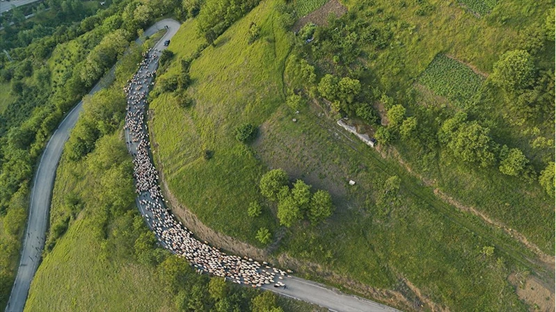 Doğu Karadeniz