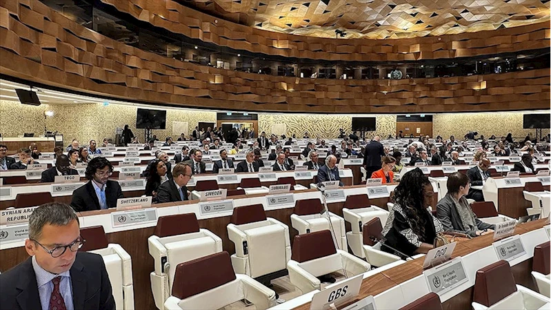 DSÖ Salgın Anlaşması, Dünya Sağlık Asamblesi