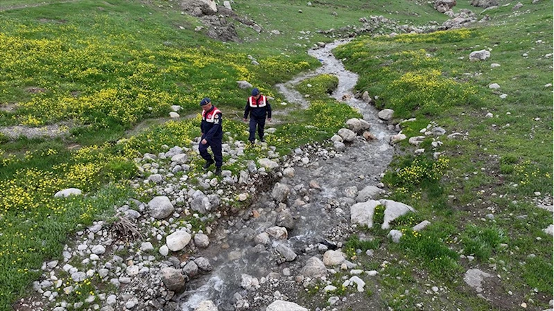 Jandarma ekipleri endemik bitkilerin korunması için görevde