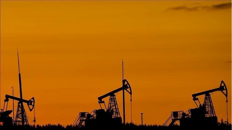 Petrol hakkına müteallik karar