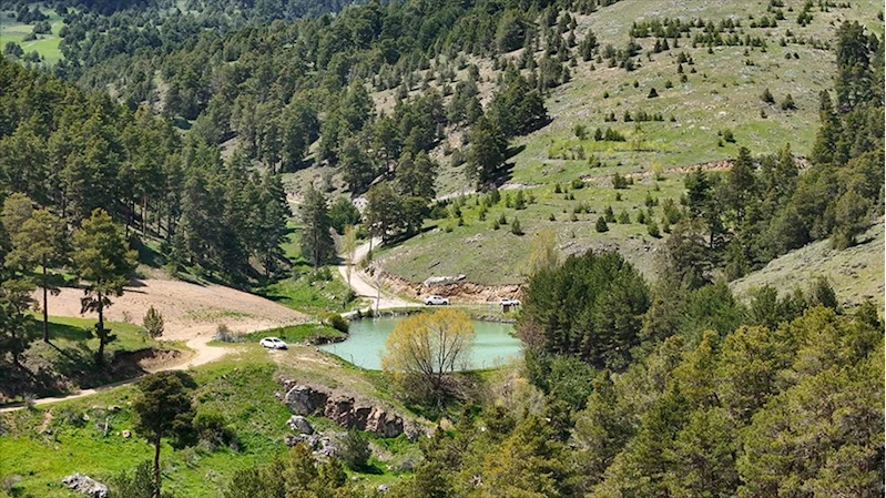 Yozgat
