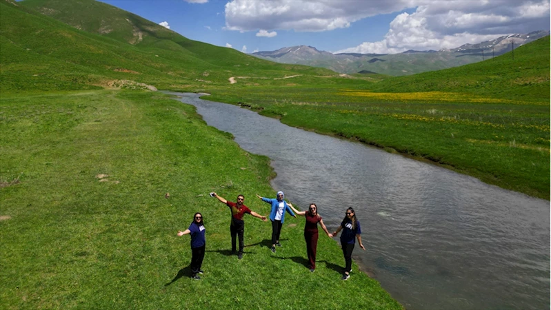 Şırnak