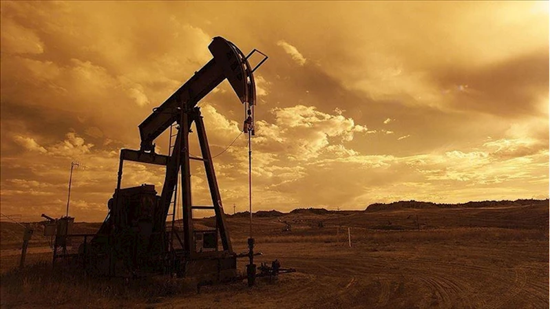 OPEC+ üyesi 8 ülke temmuzda 411 bin varil üretim artışına gidecek
