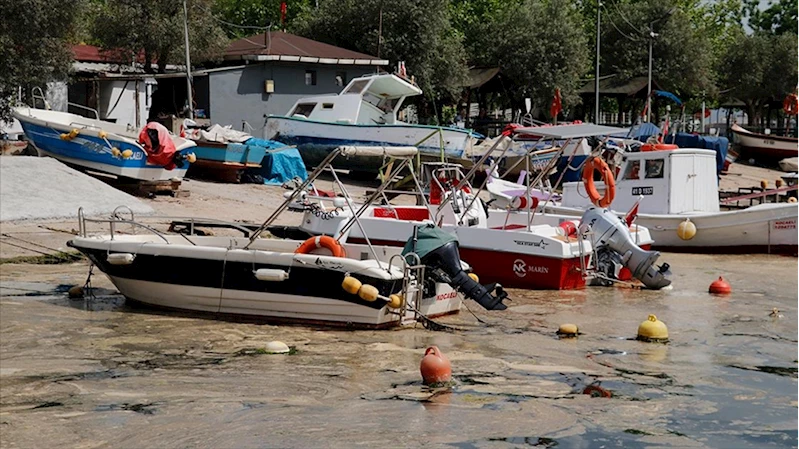 İzmit Körfezi