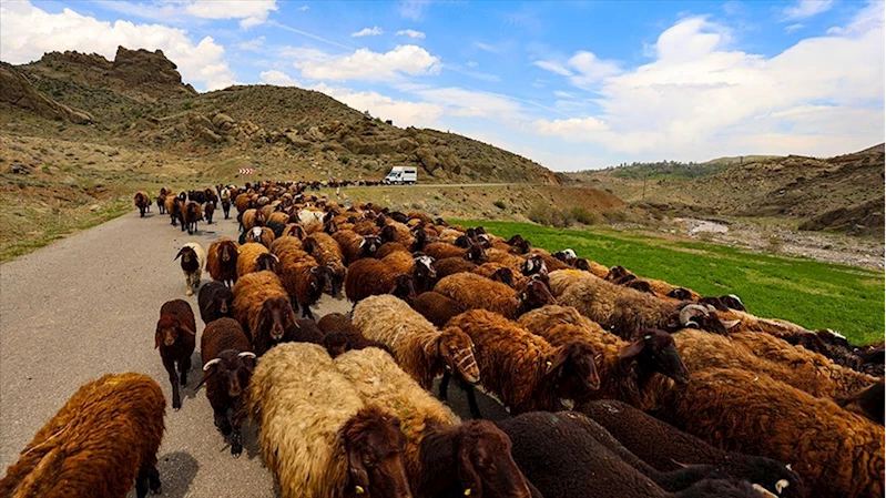 Havaların ısınmasıyla Iğdır