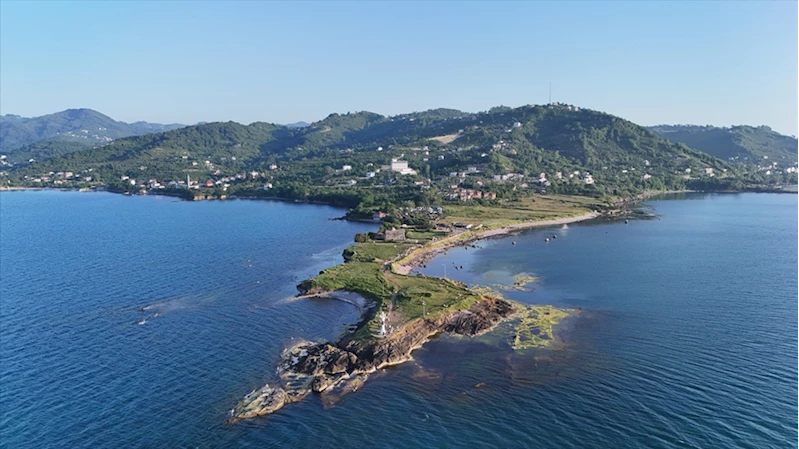 Ordu