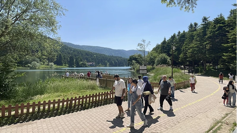 Bolu