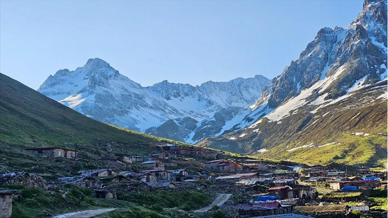 Rize