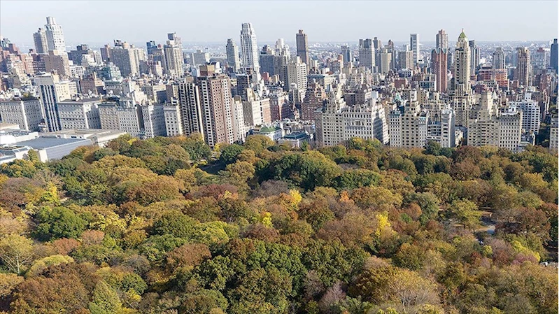 New York, ABD