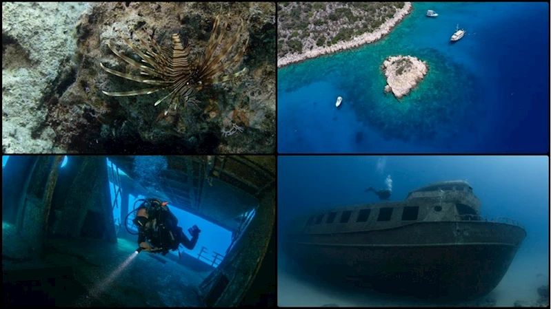 Renkli su altı dünyasının merkezi: Kaş