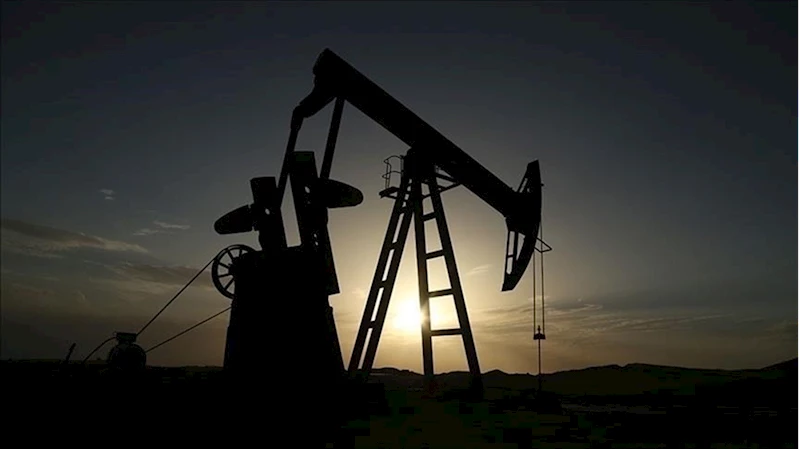 Petrol hakkına müteallik karar