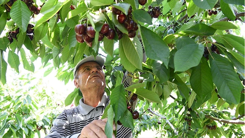 Çanakkale