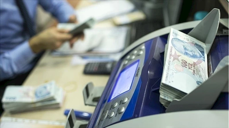 Engelli ve eski hükümlü hibe desteği başvuruları başladı