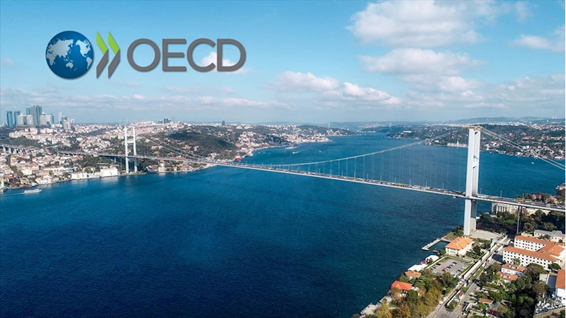 OECD, Türkiye ekonomisinin bu yıl yüzde 2,9 büyüyeceğini tahmin etti