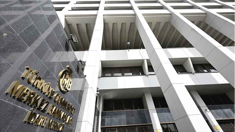 TCMB 2 ödeme kuruluşuna faaliyet izni verdi