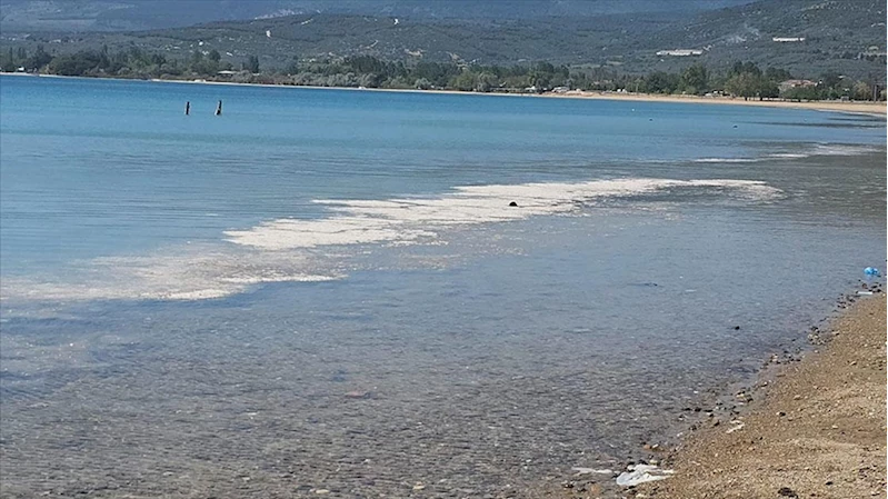 Müsilaj, Marmara ve Karadeniz