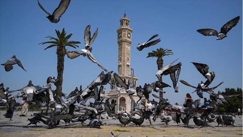 İzmir