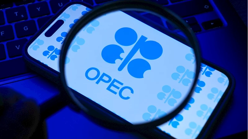 OPEC: Petrol 2050