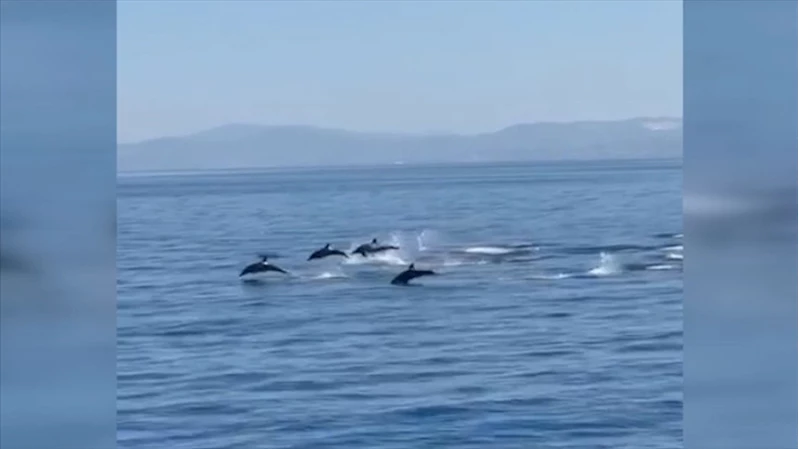 Kuşadası