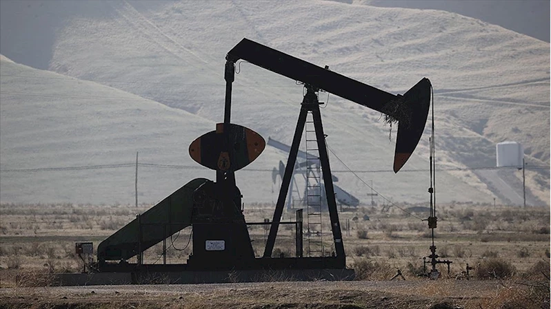 OPEC’in ham petrol üretimi haziranda günlük 220 bin varil arttı
