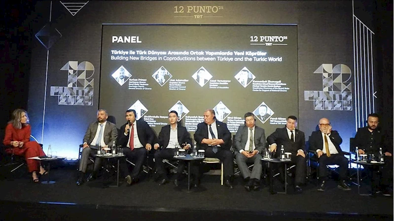 12 Punto