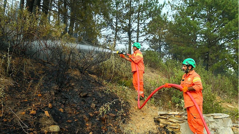 Yeşil Vatan