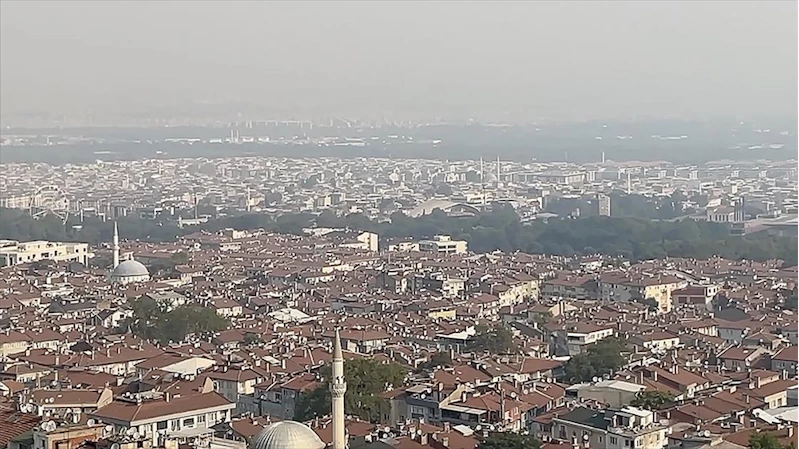 Orman yangınlarıyla oluşan 