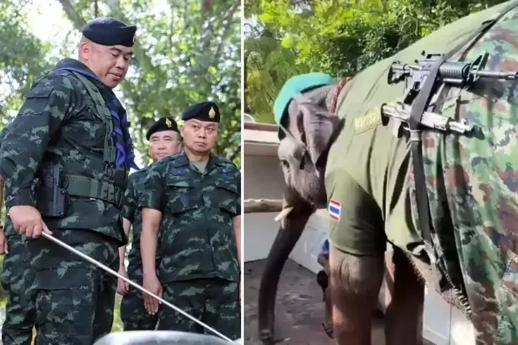 Tayland-Kamboçya savaşından ilginç görüntüler! Sınıra fil konuşlandırıldı