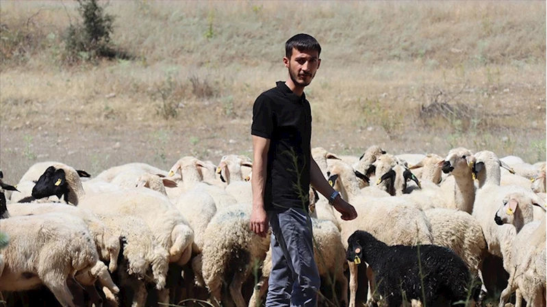 Erzincanlı genç girişimci devlet desteğiyle kurduğu modern çiftlikte tarım ve hayvancılık yapıyor