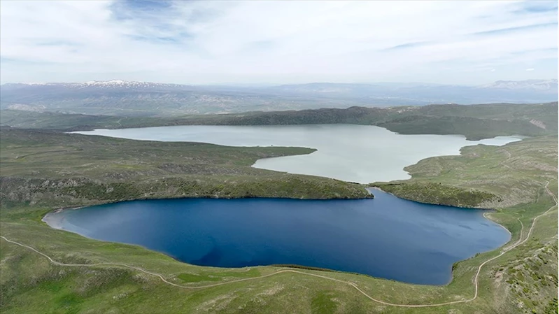 Muş