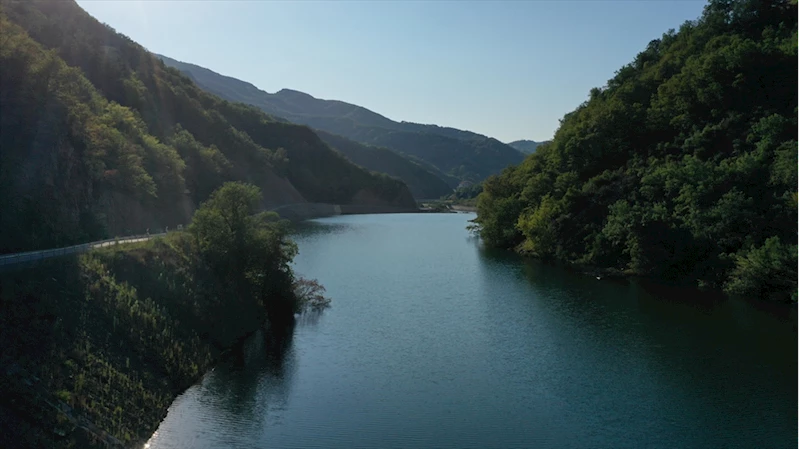 Bozkurt