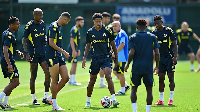 Fenerbahçe, Avrupa