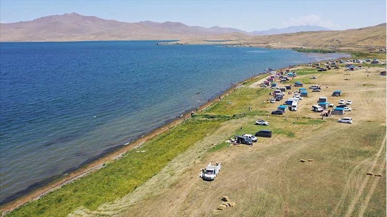 Ağrı