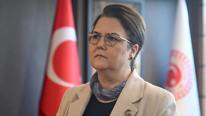 TBMM İnsan Haklarını İnceleme Komisyonu Başkanı Yanık: BMGK, İsrail