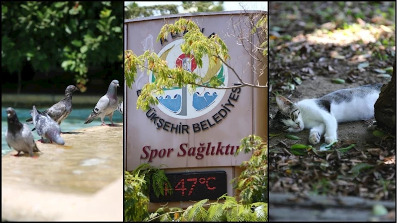 Günün ilk yarısında sıcaklıklar 16 kentte 40 dereceyi gördü